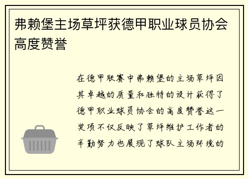弗赖堡主场草坪获德甲职业球员协会高度赞誉