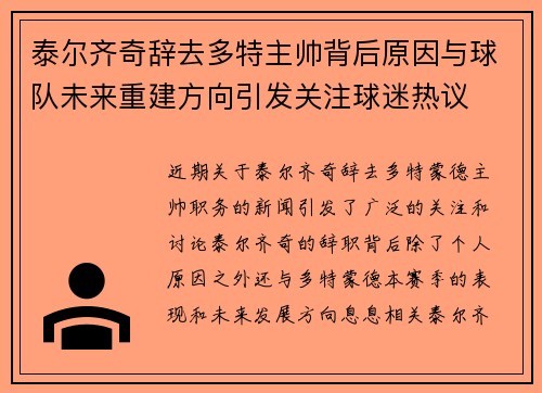泰尔齐奇辞去多特主帅背后原因与球队未来重建方向引发关注球迷热议